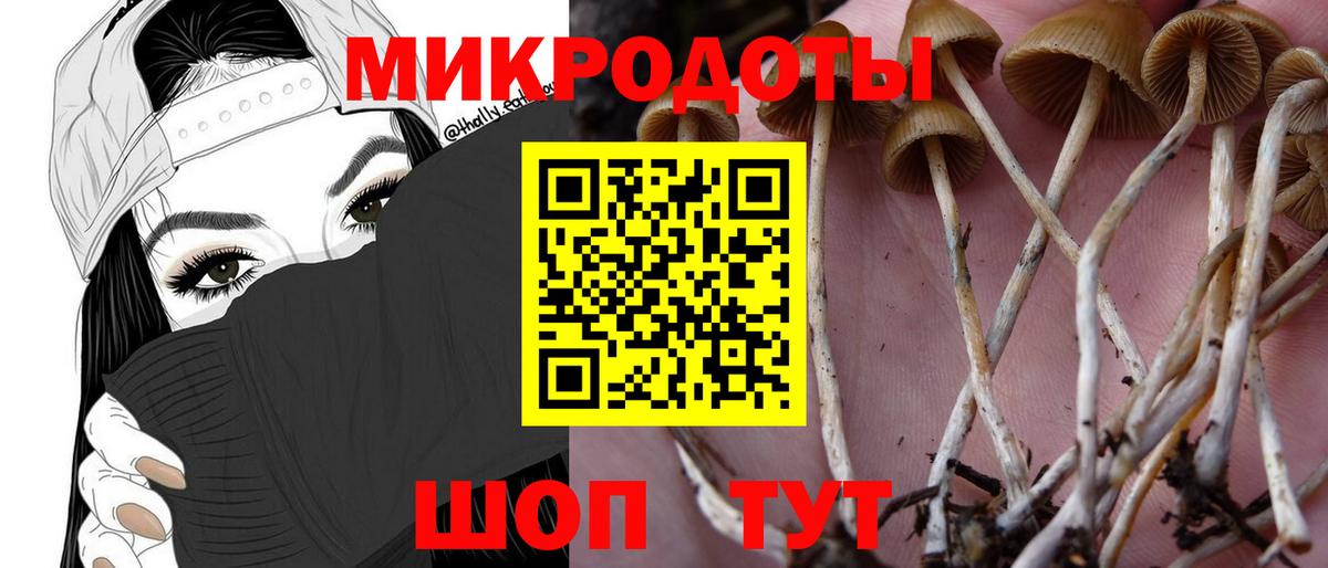 Салехард  Галлюциногенные грибы Psilocybine cubensis  Вход с VPN  Псилоцибиновые грибы мицелий 